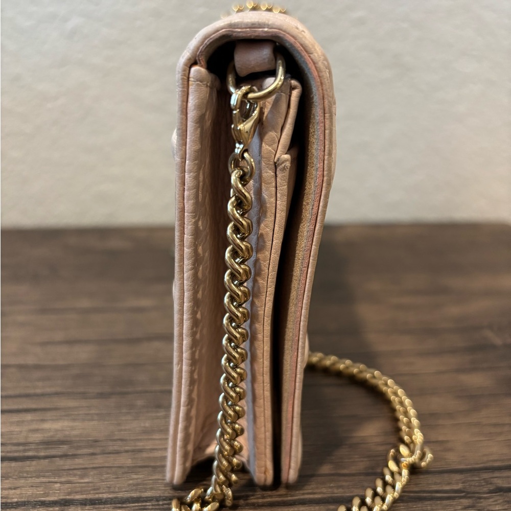 Christian Dior Beige Blush Diorama Wallet on Chain Crossbody Shoulder Bag - Picture 5 of 14